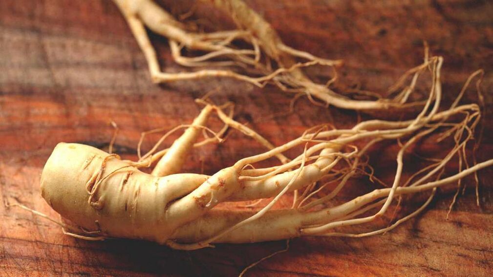 Radice di ginseng per aumentare la potenza